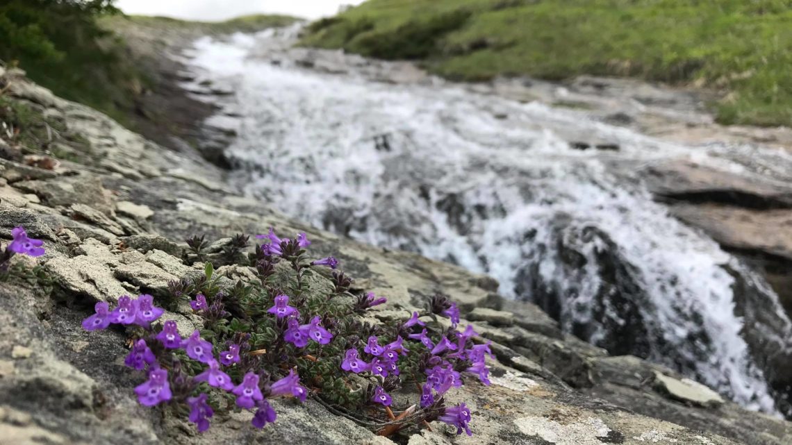 La musica delle Cento Cascate nei Monti della Laga